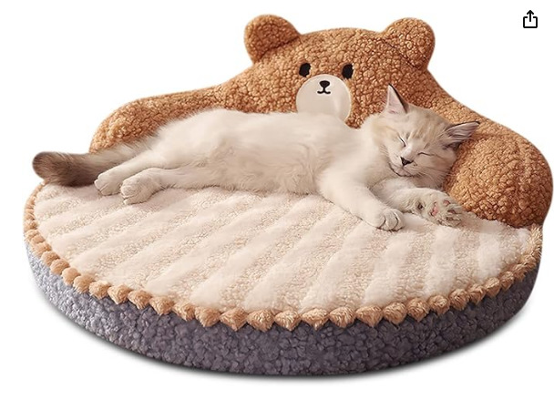 matrimonio pet friendly