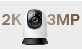 matrimonio pet friendly